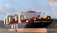Seafarers of MSC's ship were infected by Covid-19, forced to suspend sailingv