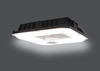 LED Canopy Light 