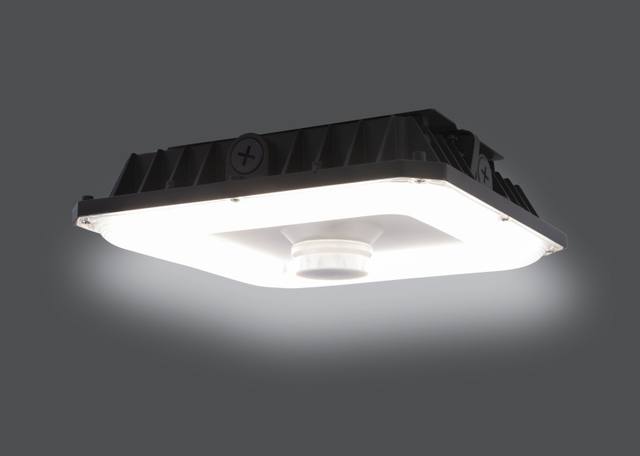 LED Canopy Light 