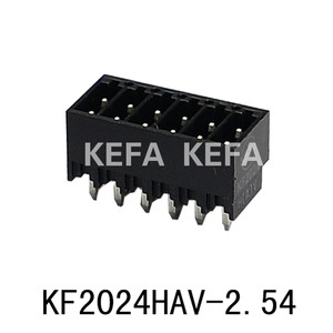 KF2024HAV-2.54 SMT-терминальный блок