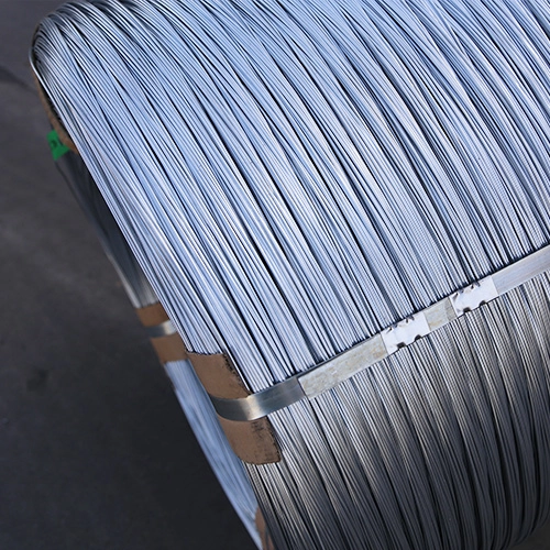 Hot-dipped galvanized wire