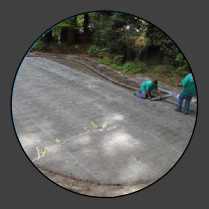 Hexagonal Wire Netting